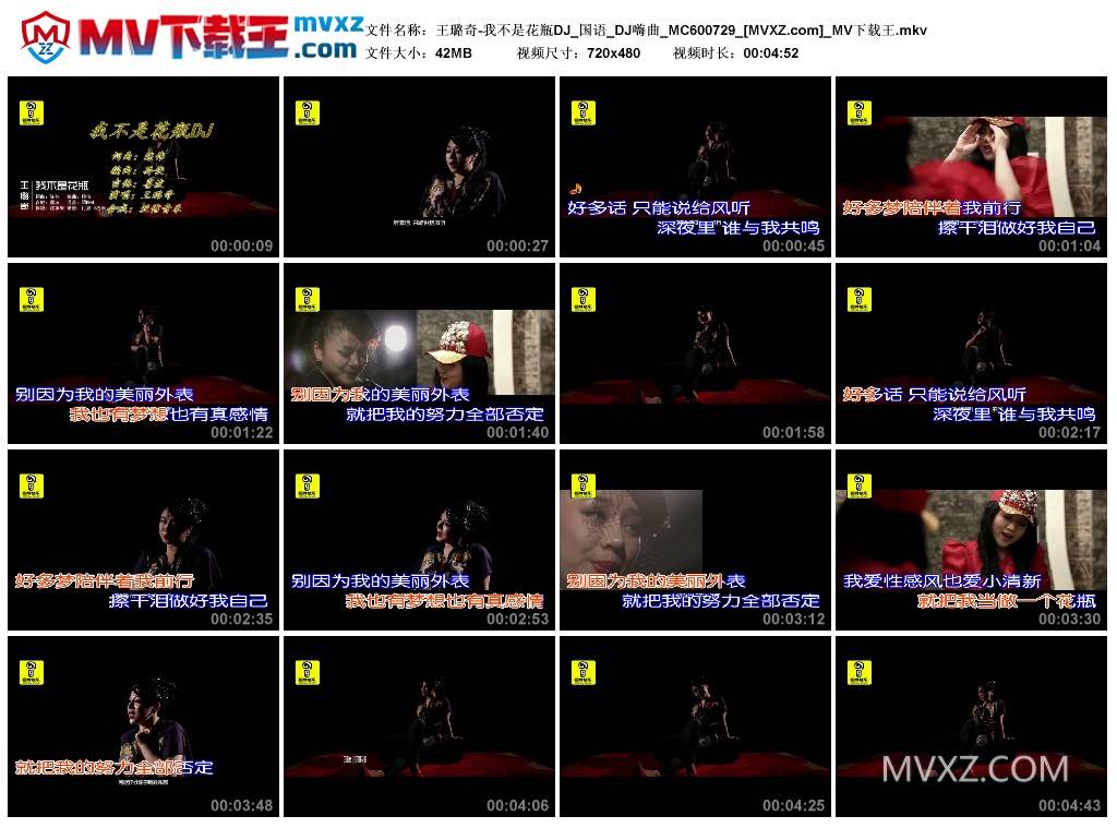 王璐奇-我不是花瓶DJ_国语_DJ嗨曲_MC600729